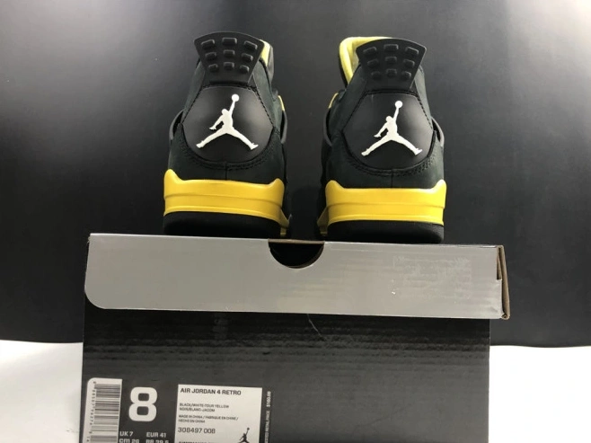 Retro Thunder 4 Air Jordan 308497-008 1010